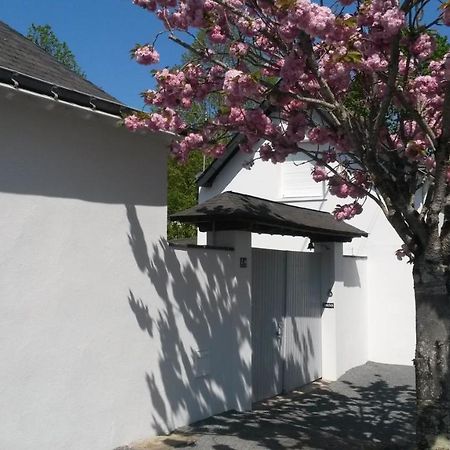 Chambre Et Salon Sur La Loire A Velo Les Ponts-de-Cé エクステリア 写真